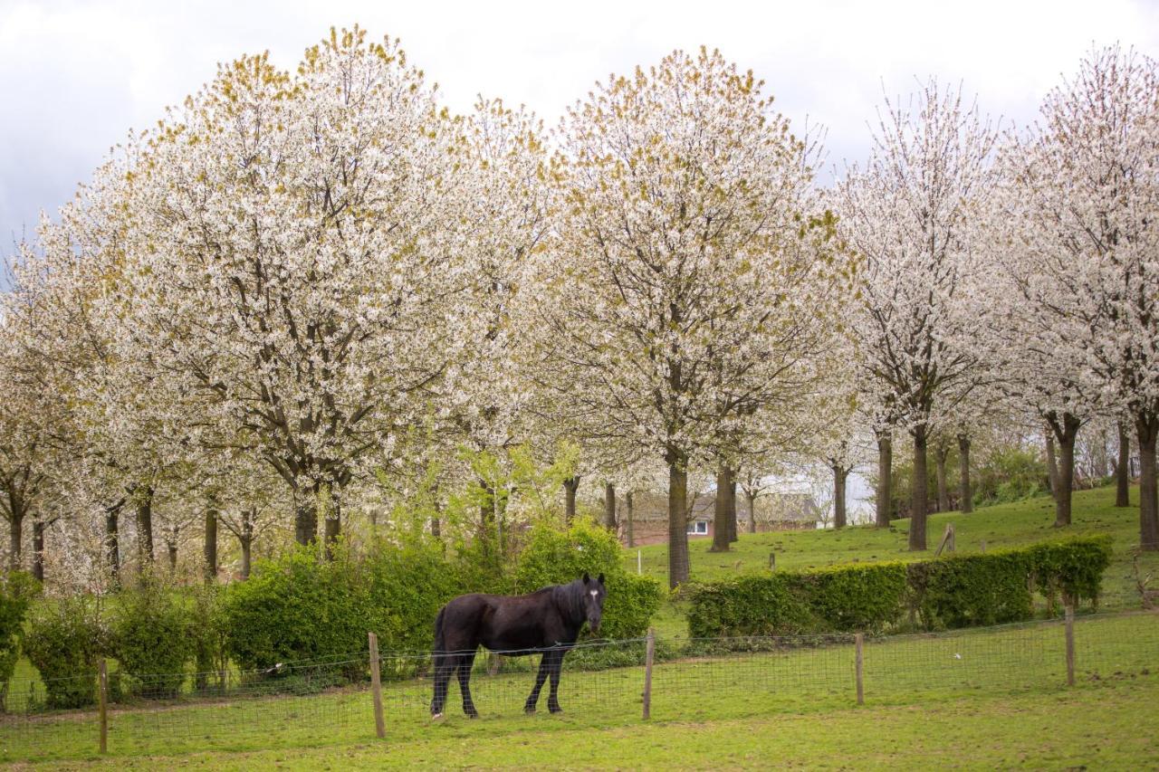 Sibbliem Luxury Homestay Valkenburg aan de Geul Exteriér fotografie